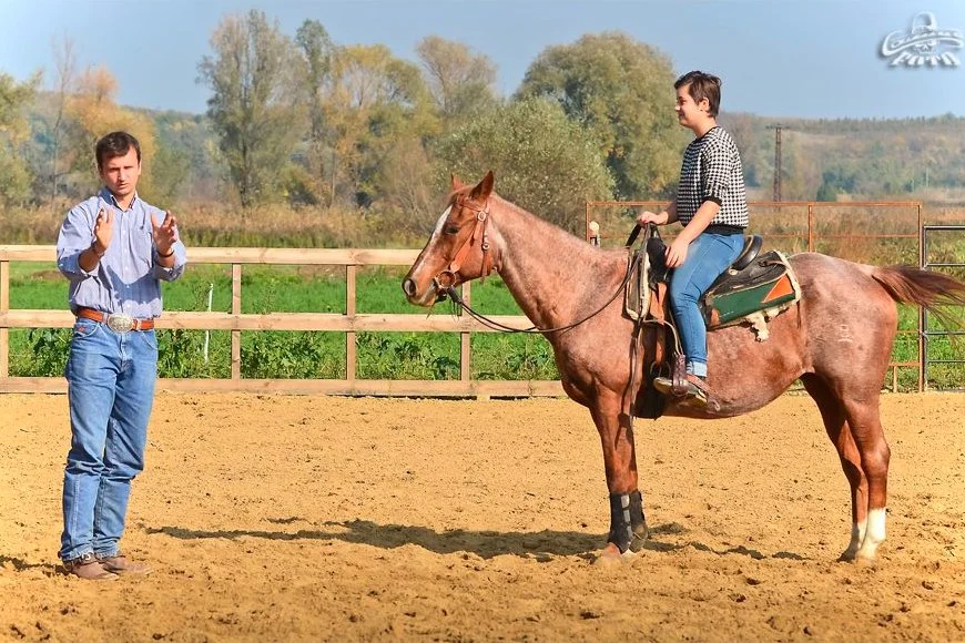 Kurzy jazdenia